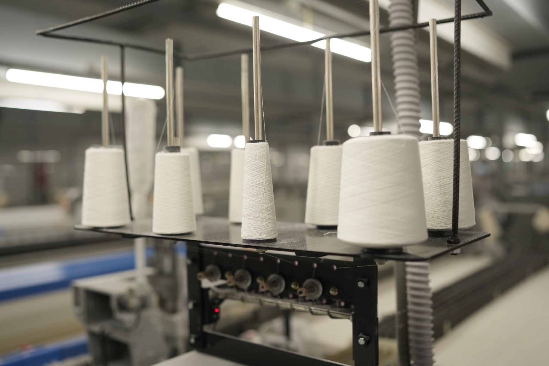 Cotton yarn cones on the creel